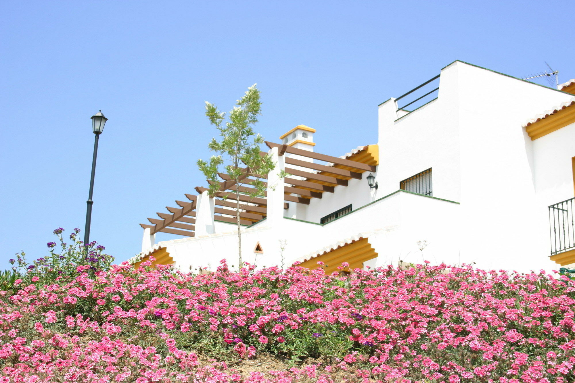 Castillo De Zalia Conjunto Rural Alcaucín المظهر الخارجي الصورة